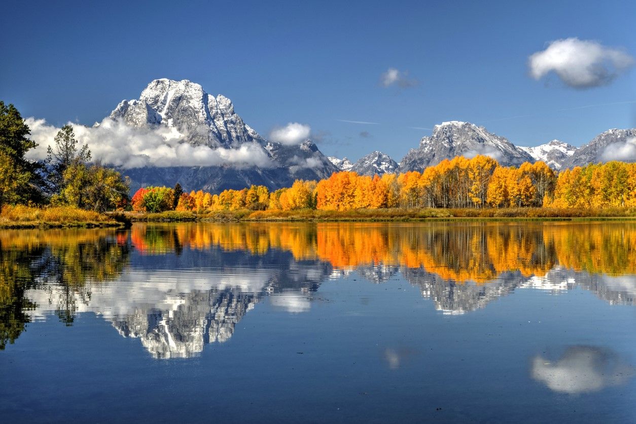 EXPERIENCE THE MAGIC OF FALL IN JACKSON, WY