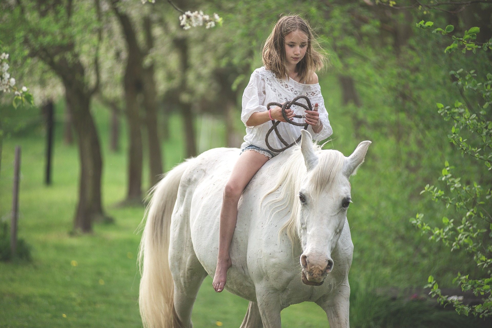 Enjoy these Kid Friendly Activities in Jackson Hole