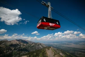 Jackson Hole Aerial Tramway and Gondola Rides