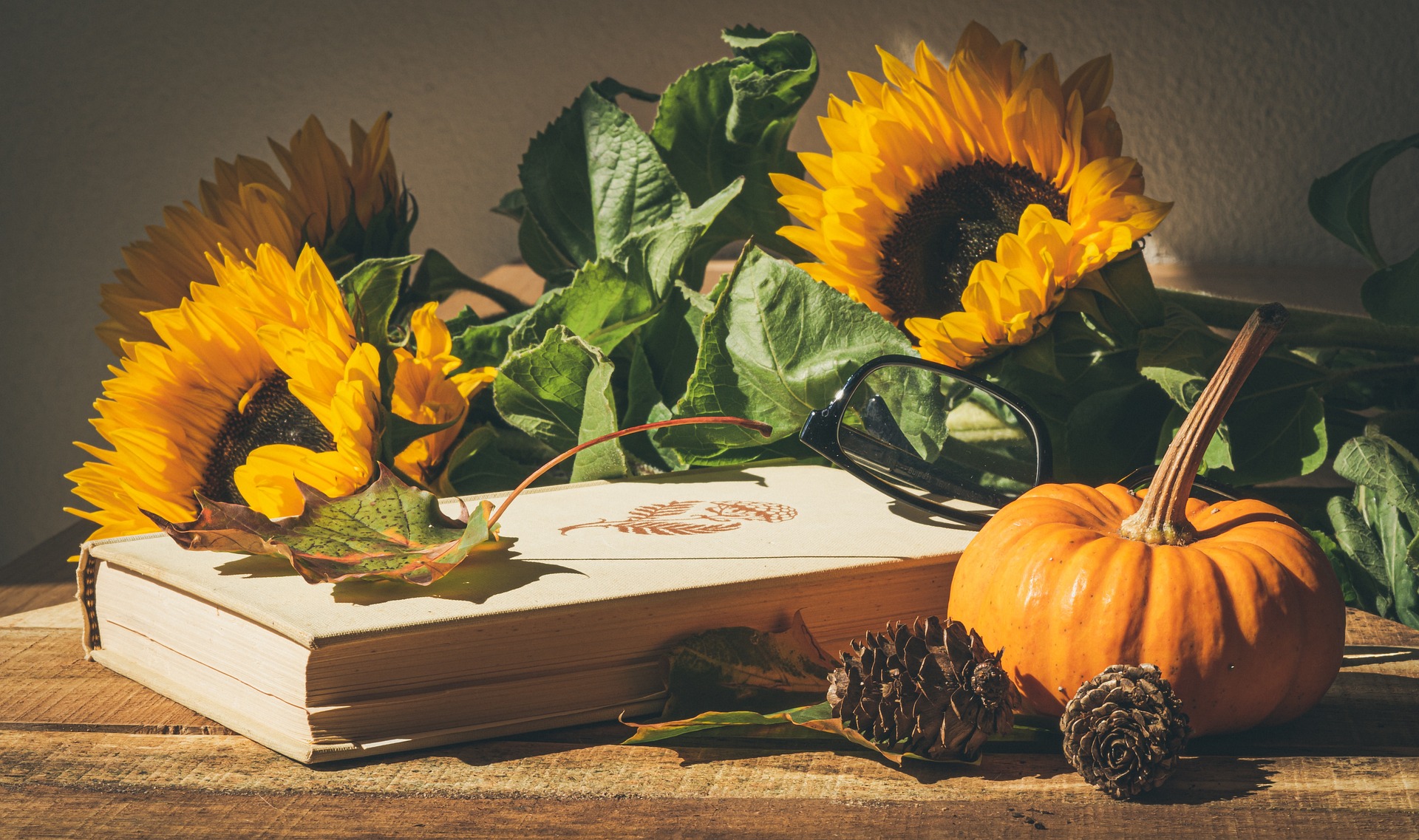 Mary oliver thanksgiving