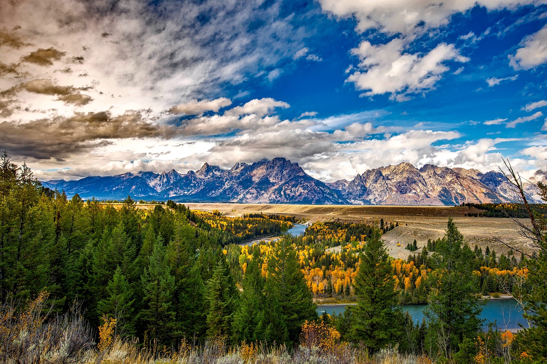 Planning a Summer Getaway to Jackson Hole WY